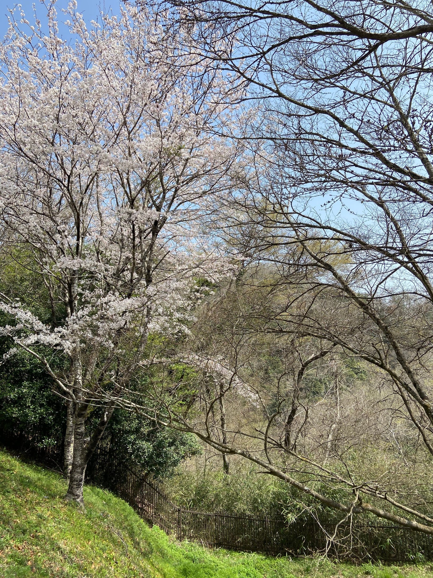 パンと音楽とアンティーク