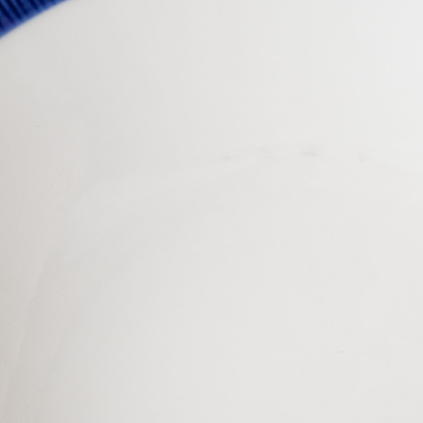 Rorstrand Hertha Bengtsson Koka Series  plate / ロールストランド ヘルサ・ベングトソン コカシリーズ  プレート1