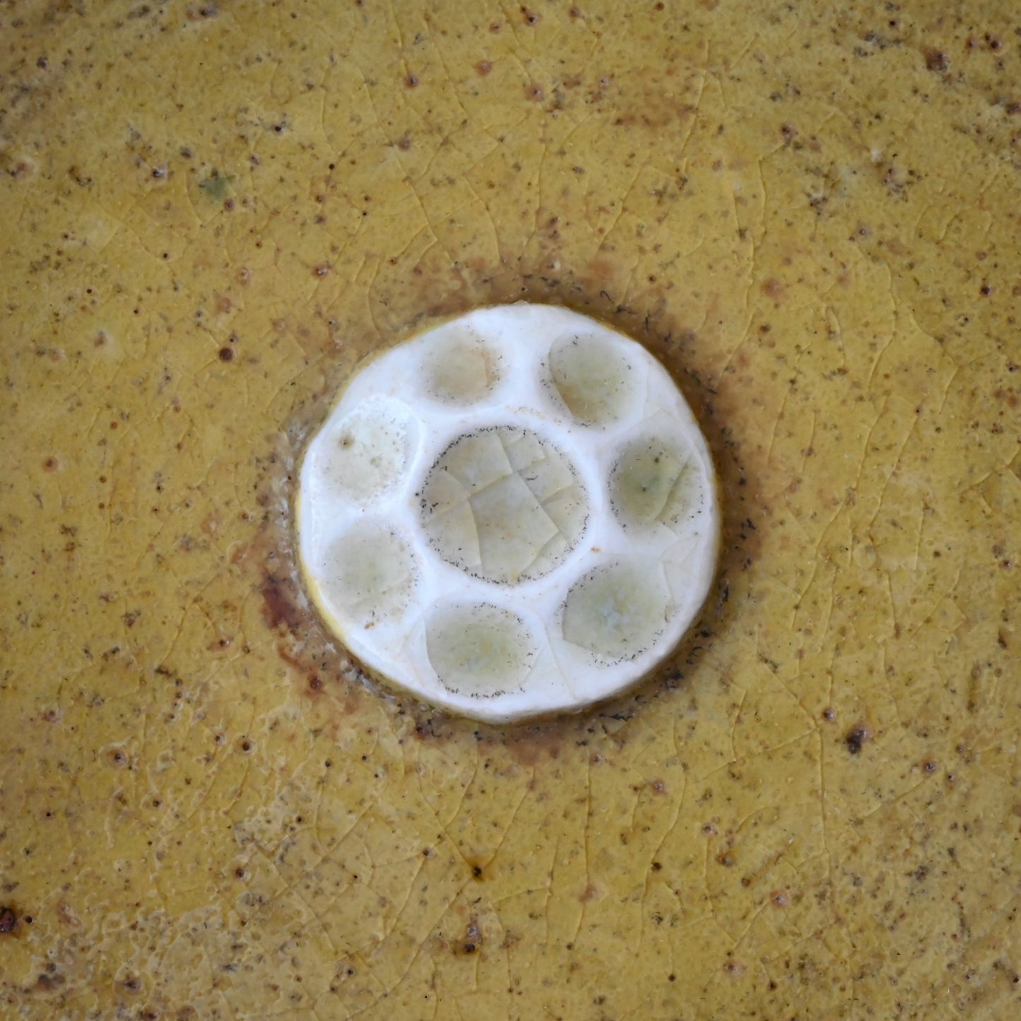 Rorstrand Sylvia Leuchovius blue/yellow boul / ロールストランド シルヴィア・レウショヴィウス 青/黄色のボウル 花模様